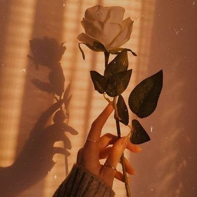 anna26802's profile picture. 