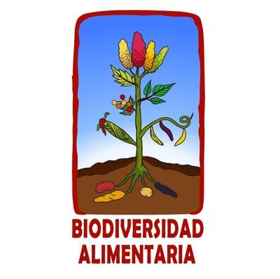 #Huerta y #semillas tradicionales 🌱
Recuperando y conservando la base de la vida junto a los pueblos originarios y comunidades campesinas.