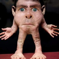 OFennd Tooting ๐ต๐ธ (@wolfiesmitty) 's Twitter Profile Photo OFennd Tooting ๐ต๐ธ (@wolfiesmitty) 's Twitter Profile Photo