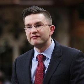 Pierre The Hair Poilievre (Parody)