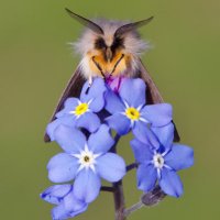 Not backing down. Ever. ๐บ๐ธ๐ผ๐๐๐ (@timeforhiding) 's Twitter Profile