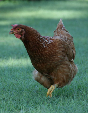 ajgeer's profile picture. Maps. Laps. Naps. 

Not necessarily in that order.