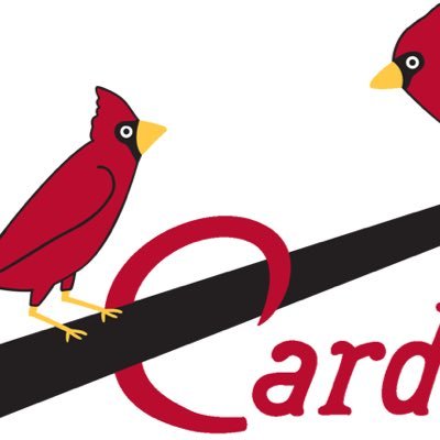 #STLCARDS #STLBLUES #ALLFORCITY #BATTLEHAWKS #UFC