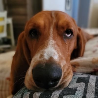 winstonray1313's profile picture. 