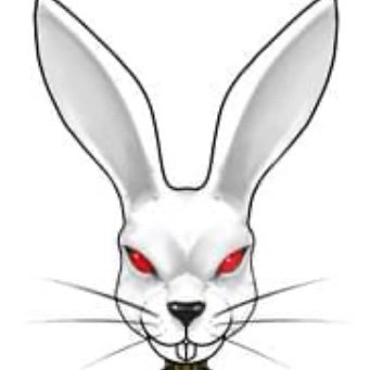 RabbitskinV Profile Picture