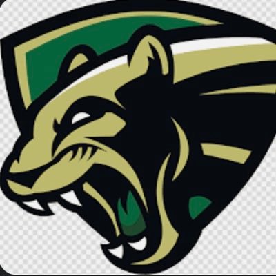 Nease Panthers Baseball Profile