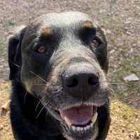macmarcola (@macmarcola1) 's Twitter Profile