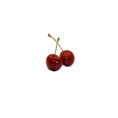 森 宮 𝙢𝙤𝙧𝙞さんのプロフィール画像
