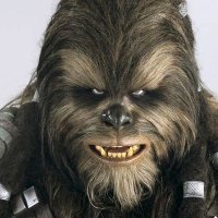 Silverback Wookie(@klpaint1960) 's Twitter Profile Photo