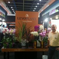 Mischa Groothuizen (@mischagroot) 's Twitter Profile