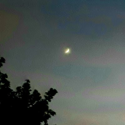 MinaFeuRonance's profile picture. Im sad and gay. Lesbian demigirl, they/she. Dsmp enjoyer, stranger things is occupying. Ronance, Lumax/Elmax, Steddie and Byler. Max and Robin own my heart.