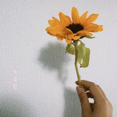 mtamn_06's profile picture. fashion