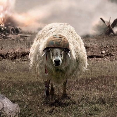 WahSheep's profile picture. Gamer boi 

Catch me on Apex

old Roblox player