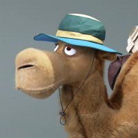 はますけ (@hama_camel) 's Twitter Profile