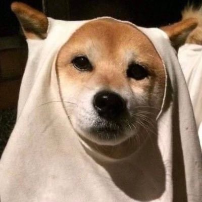 nekoman75's profile picture. 宅浪