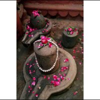 Swati Yadav (@swatiya80530519) 's Twitter Profile Photo Swati Yadav (@swatiya80530519) 's Twitter Profile Photo