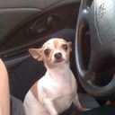 Karla Gilmore - @GizmosHuman - Twitter