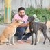 Vikash Bafna (@friendforanimal) Twitter profile photo Vikash Bafna (@friendforanimal) Twitter profile photo