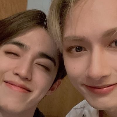 no, YOU live in a society. i live in seungcheol's dimples 🗯 she/her
