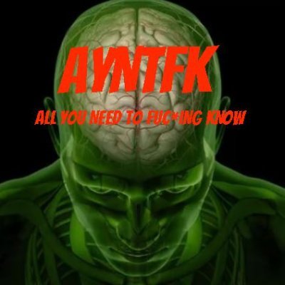 AYNTFK is a Project Analysis group that analyzes upcoming projects and where they stand hence