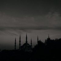 . (@m_alqarnii) 's Twitter Profile