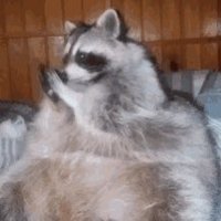 Ratmilk (@ratmilksmite) 's Twitter Profile Photo