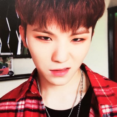 Woozi The Creator