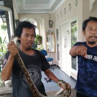 scmbgsociety (@scmbgsociety) 's Twitter Profile