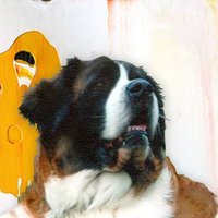 cGrace (@cgrace1998) 's Twitter Profile Photo cGrace (@cgrace1998) 's Twitter Profile Photo