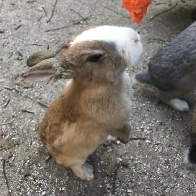 yk_photo_hm's profile picture. 広島、岡山で写真撮ったりしてます。