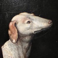 W.O.U.I.L (@_wouil_) 's Twitter Profile
