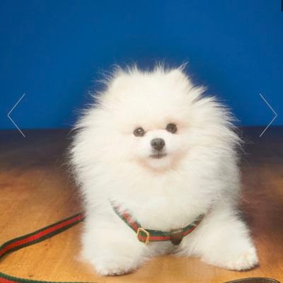 14melty's profile picture. ゆる事業主 関東
第三子妊娠中♫