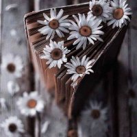 Abdo Okailey (@abdookailey) 's Twitter Profile