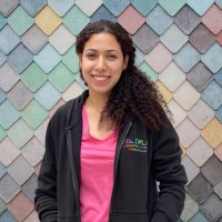 Nihal Fares (@nihalfares) 's Twitter Profile