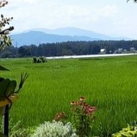 itokiretako (@itokiretako3) 's Twitter Profile