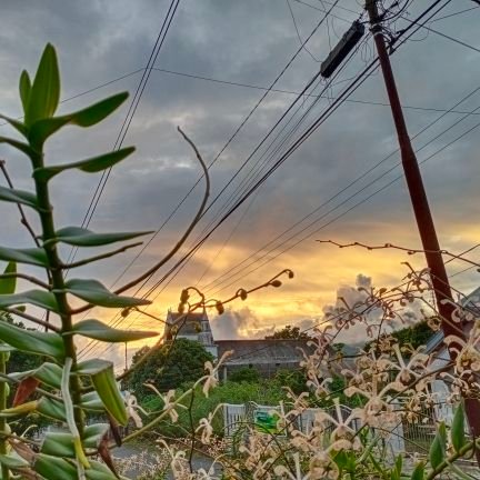 YerikoWalalangi's profile picture. 