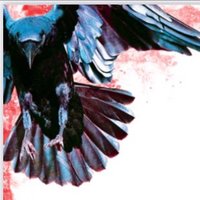 The Morrigan (@morriganopera) 's Twitter Profile