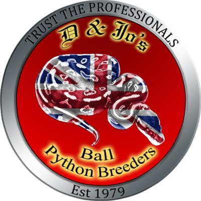 Pro Breeders of World Class Ball Pythons. International award winners. Follow us on Facebook: https://t.co/5QmGEDl7Zt