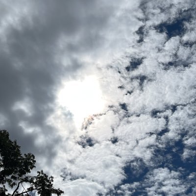 TScheiber's profile picture. ▪ Licenciado e Bacharel em Educação Física
▪ Pós-graduando em Futebol pela UFV
▪ Mestrando na Faculdade de Desporto, Universidade do Porto