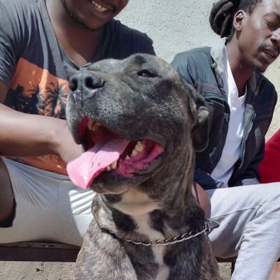 ristonashe's profile picture. the best man, i can truly be