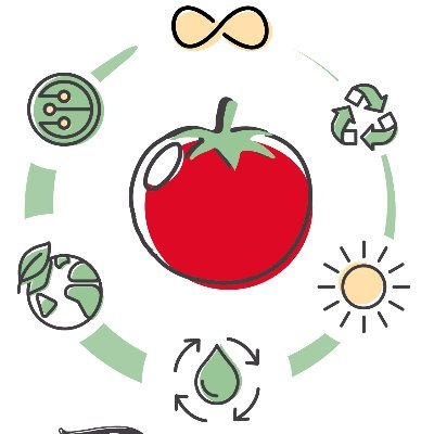 FeniceProject's profile picture. Functional carbon dots for ENhancing
tomato production In a Circular Economy scheme.
Funded by @FondCariplo, based @IITalk, @cnr_scitec, CNR-IMEM