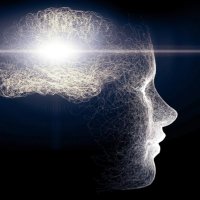 Aldous (@mycelium_mind) 's Twitter Profile
