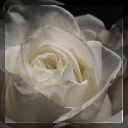 mjphotographics's profile picture. Wedding & Commercial Photographer covering Cheshire, Shropshire, Staffordshire, Merseyside & Greater Manchester