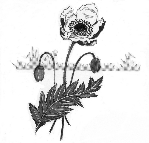 mvnltd's profile picture. 