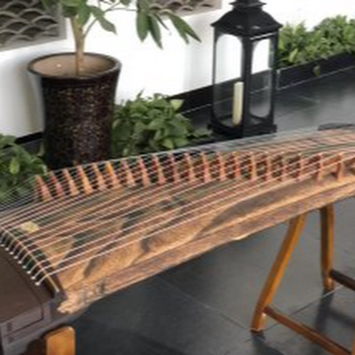 Playing Guzheng