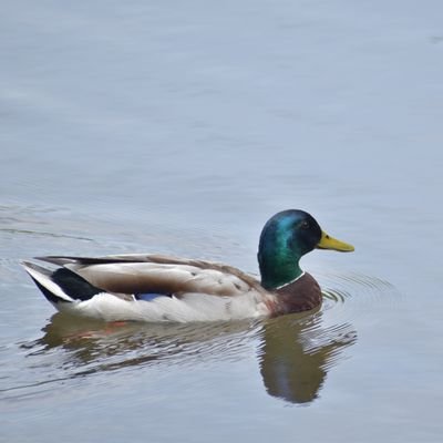 パン粉さんのプロフィール画像