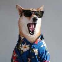 maybrier ☴ (@thomasmaybrier) 's Twitter Profile
