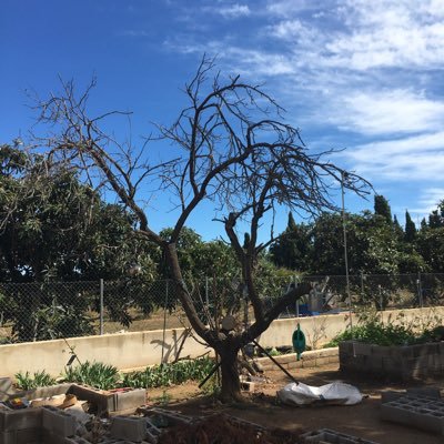 My God/Goddess is a tree in my back garden.I believe in listening to nature.