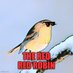 The Red Red Robin (@theredredrobin7) Twitter profile photo The Red Red Robin (@theredredrobin7) Twitter profile photo