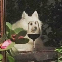 max! (@maxisonbooktwt) 's Twitter Profile